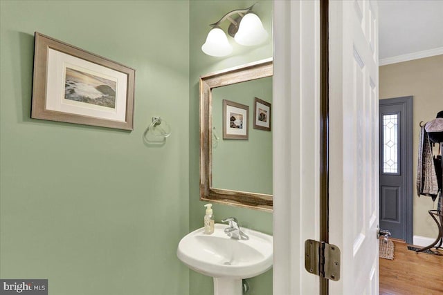 bathroom with sink, wood-type flooring, and crown molding