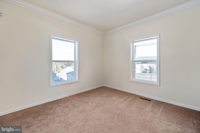 unfurnished room with carpet floors and ornamental molding