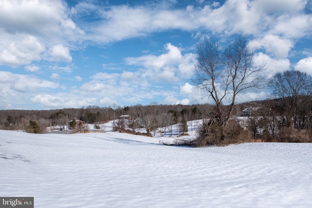 view of yard layered in snow