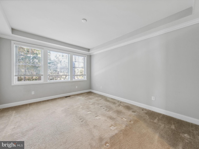 carpeted empty room featuring a raised ceiling and crown molding