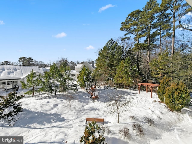 view of snowy yard