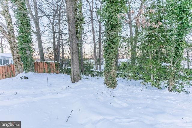 view of snowy yard