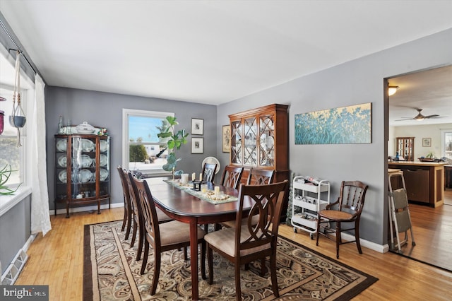 dining space featuring light hardwood / wood-style flooring, ceiling fan, and a healthy amount of sunlight