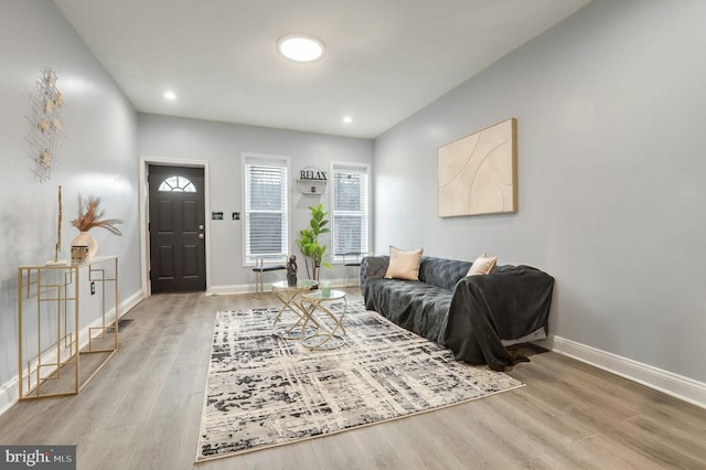 living room featuring light wood-type flooring