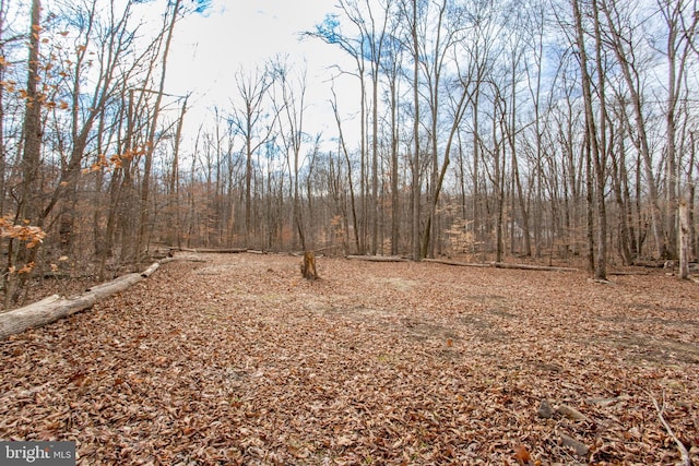 view of local wilderness