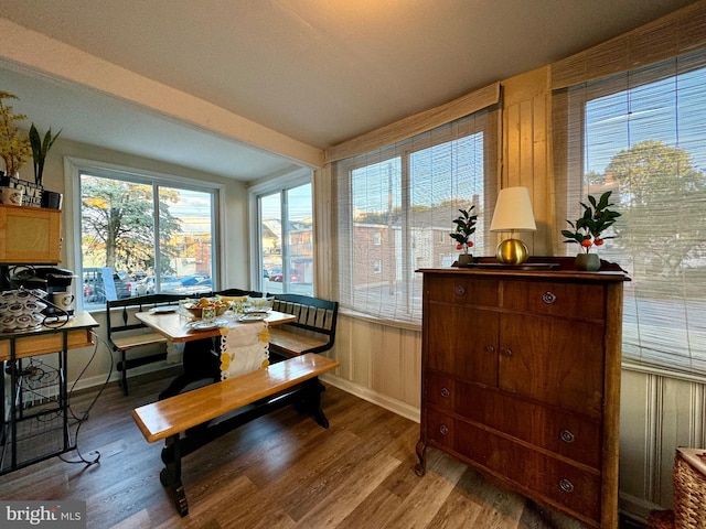 dining room with hardwood / wood-style flooring