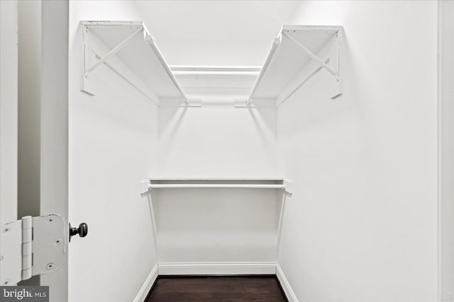 spacious closet featuring hardwood / wood-style floors