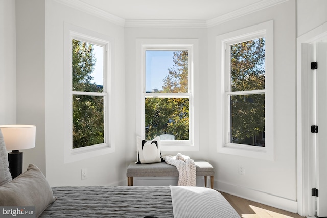 bedroom with hardwood / wood-style flooring and ornamental molding