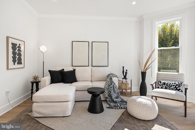 living room with wood-type flooring and ornamental molding