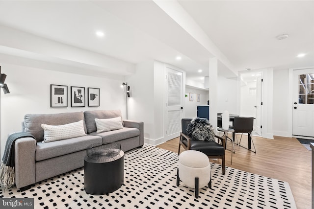 living room featuring light hardwood / wood-style flooring