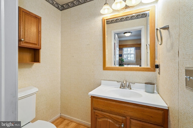 bathroom featuring hardwood / wood-style flooring, vanity, and toilet