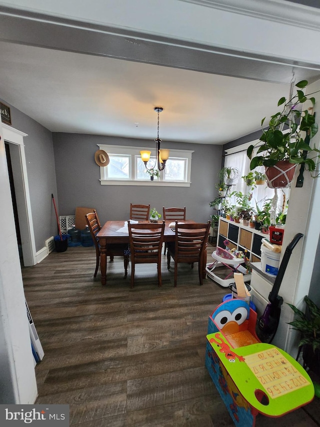 dining room featuring dark hardwood / wood-style floors and a chandelier