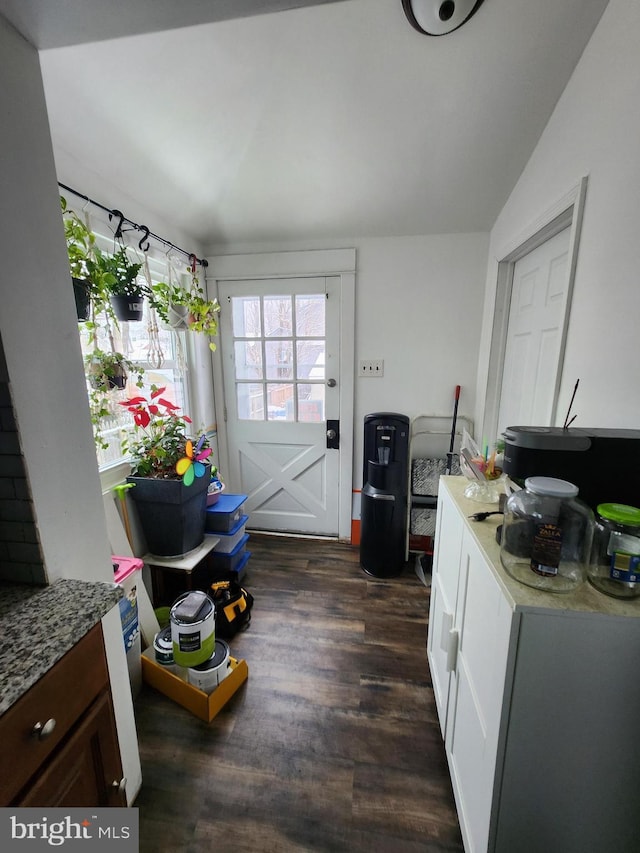 entryway featuring lofted ceiling and dark wood-type flooring