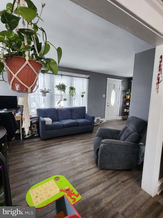 living room with dark wood-type flooring