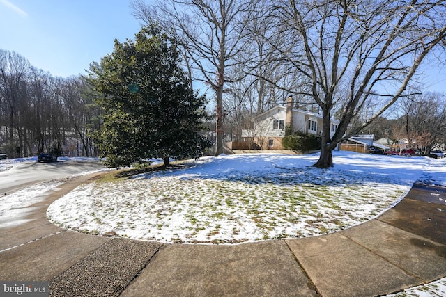 view of yard covered in snow