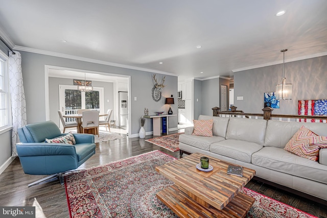 living room with a notable chandelier, ornamental molding, plenty of natural light, and dark wood-type flooring