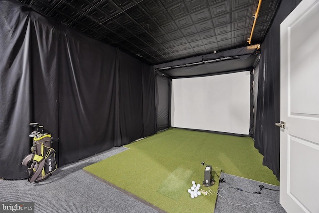 cinema room featuring carpet flooring and golf simulator