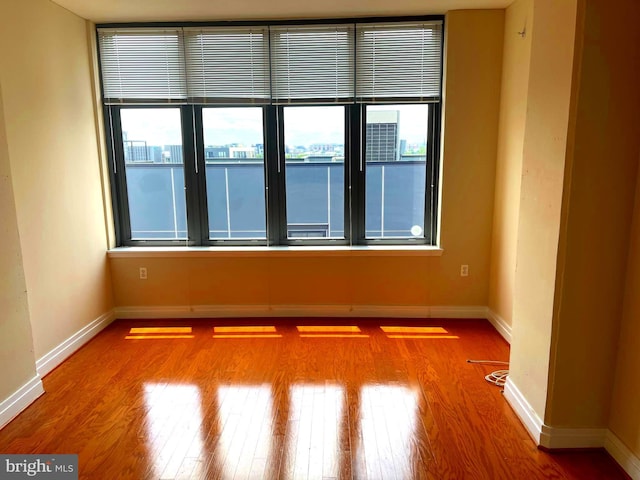 empty room with wood-type flooring