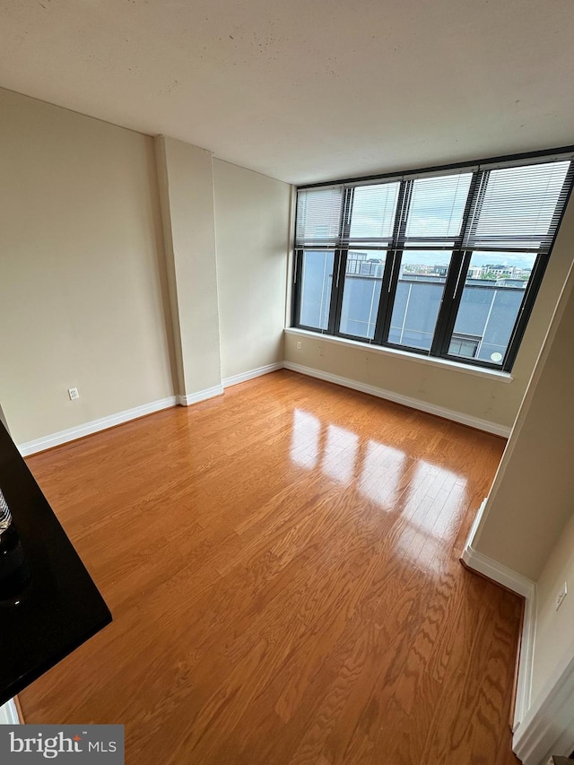 empty room featuring plenty of natural light and light hardwood / wood-style floors