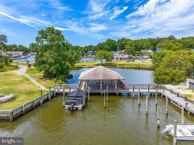 dock area with a water view