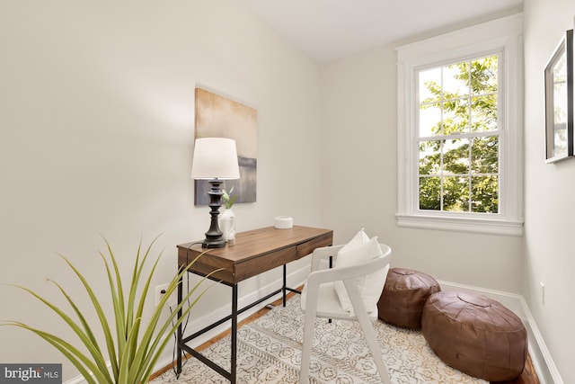 home office with hardwood / wood-style flooring