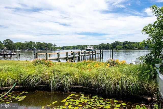 view of dock with a water view