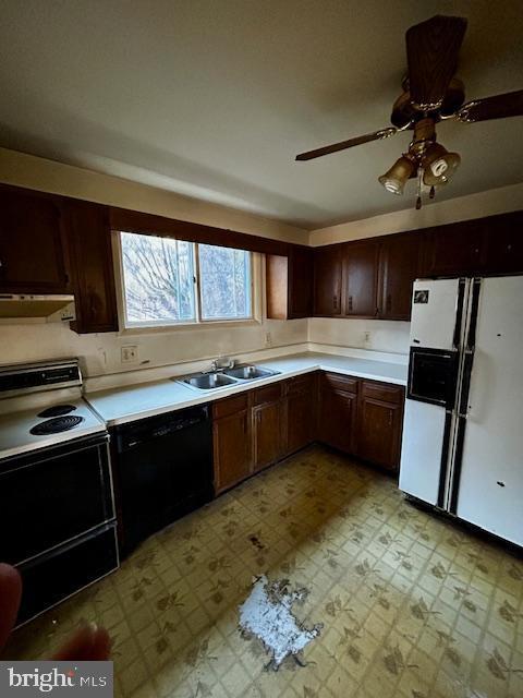 kitchen with dark brown cabinets, white appliances, sink, and exhaust hood