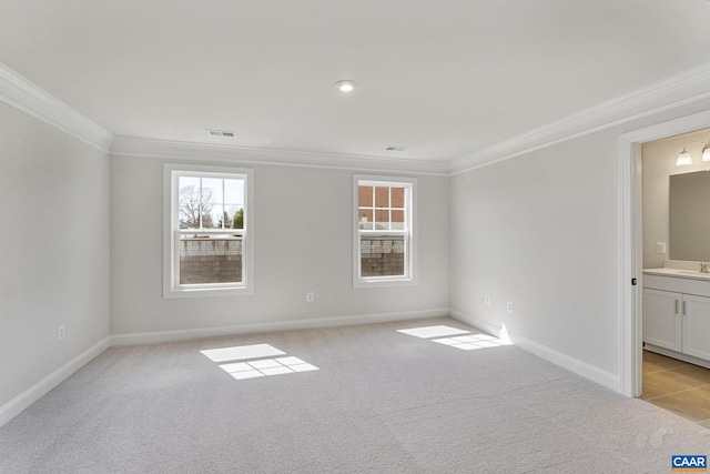 spare room with crown molding, sink, and light carpet