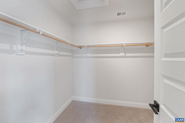 walk in closet with carpet floors