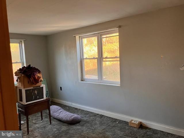 interior space with a wealth of natural light, carpet flooring, and baseboards