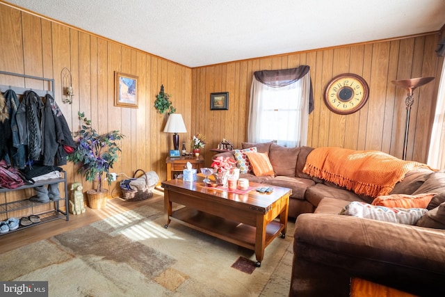 living room featuring wooden walls