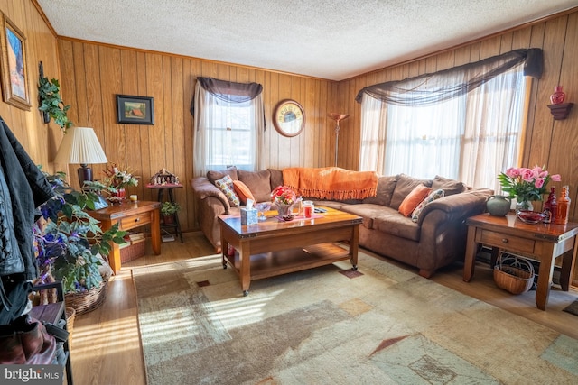 living room with wood walls, carpet, and a textured ceiling