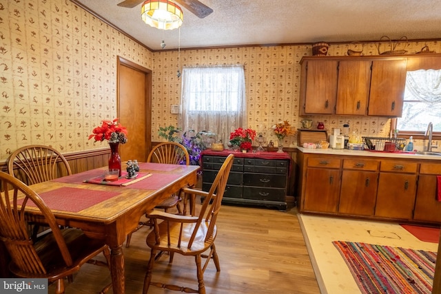 dining space with sink, ceiling fan, ornamental molding, a textured ceiling, and light hardwood / wood-style floors