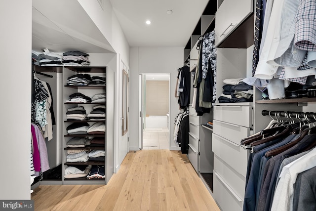 spacious closet with light wood-type flooring