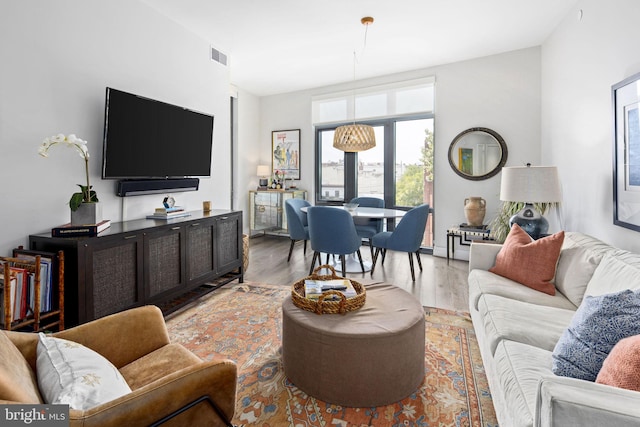 living room featuring wood-type flooring