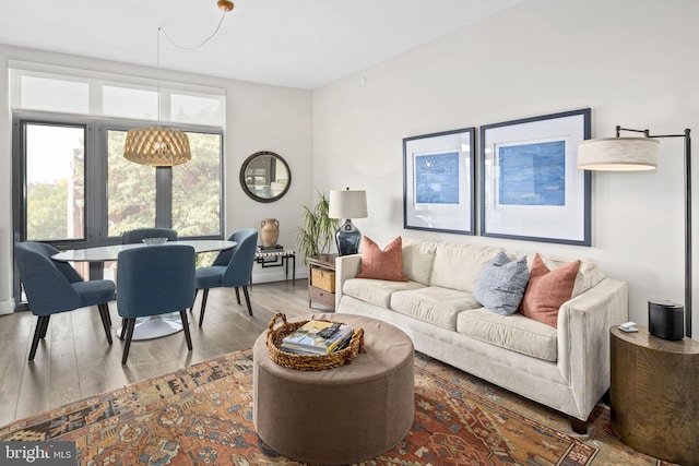 living room featuring hardwood / wood-style flooring