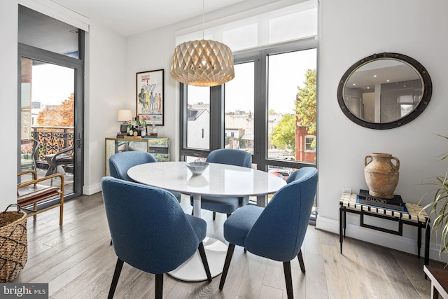 dining space featuring hardwood / wood-style floors and plenty of natural light