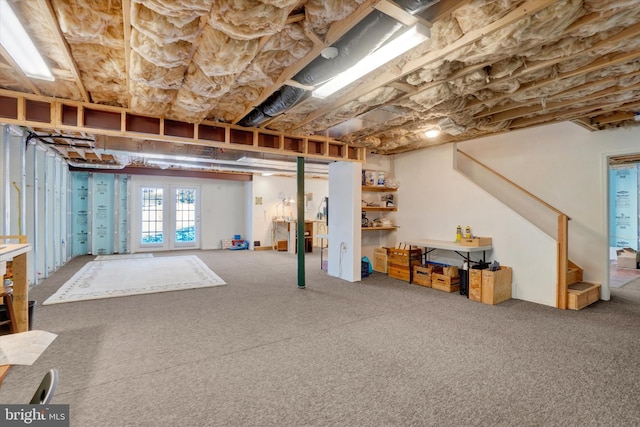 basement featuring carpet