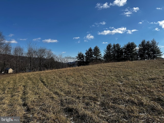 Listing photo 3 for Woodward Road-, Sperryville VA 22740