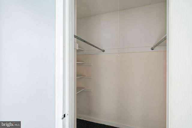 view of walk in closet