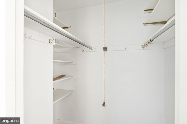 view of spacious closet