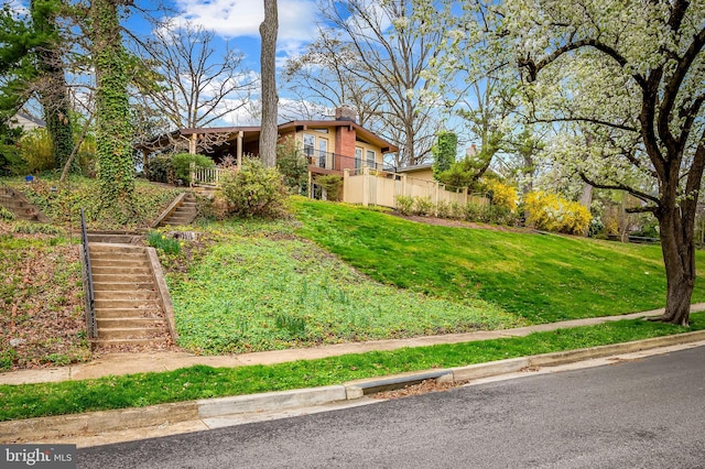 view of yard featuring stairs