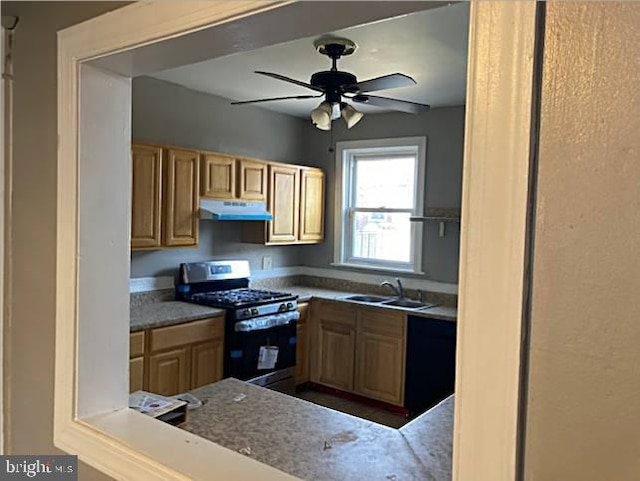 kitchen featuring ceiling fan, sink, dishwasher, and stainless steel gas range