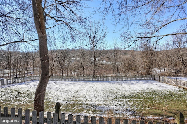 view of yard covered in snow