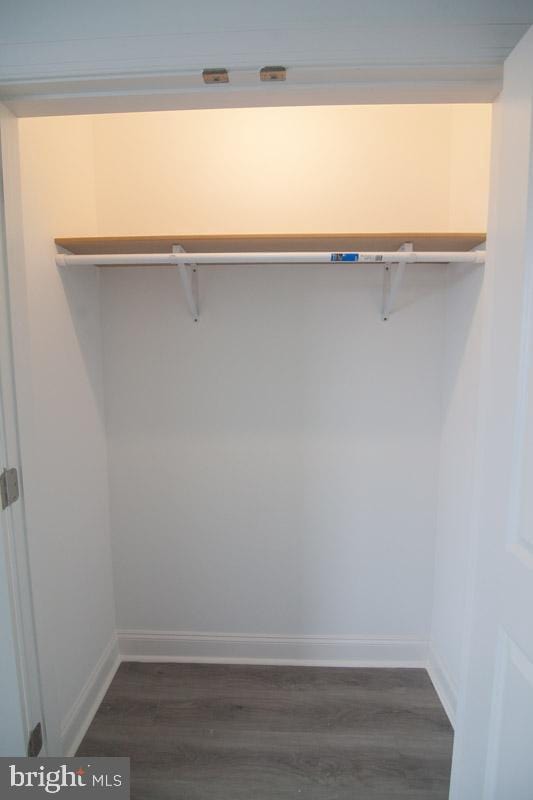 spacious closet featuring dark hardwood / wood-style flooring