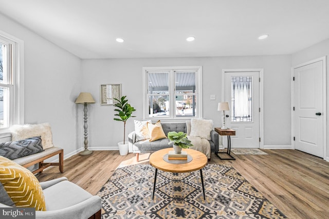 living room featuring wood-type flooring