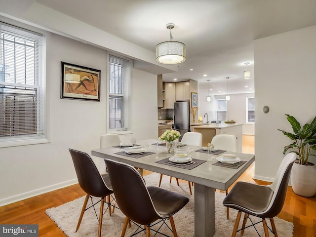 dining room with light hardwood / wood-style flooring and sink