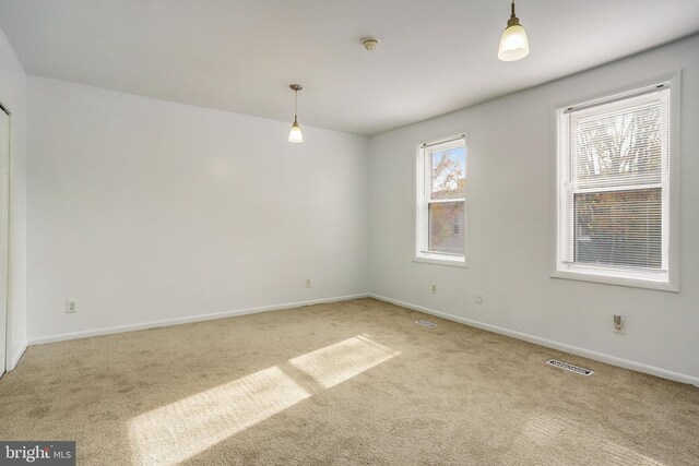 spare room with carpet floors