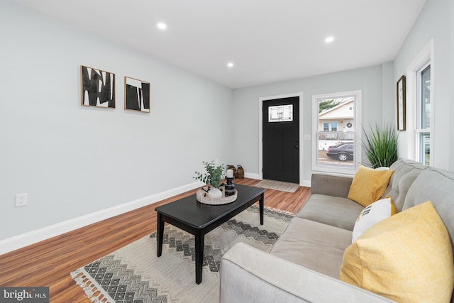 living room with hardwood / wood-style flooring