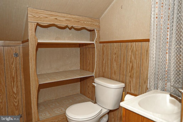 bathroom featuring toilet, vanity, and wood walls